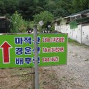종천농장 Daum카페