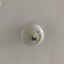 제주오다 이미지