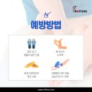 레푸스 범어점 이미지