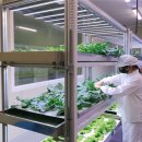 울산산업고등학교 이미지