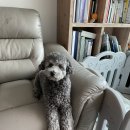 꾸름 이미지