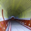 벨루가(Beluga) 이미지