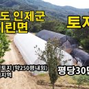 강원도 인제군 청정지역 전원주택지&농막토지가 평당30만원?? 250평 내외~ 이미지