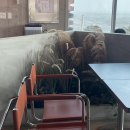 문어일미 | 공복 없는 설 연휴☁️