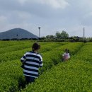 유나목장 이미지