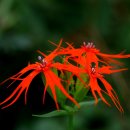 동자목장 이미지