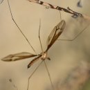 미리내캠프 이미지