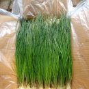 남구-021 이미지