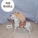 카더가든이 부릅니다 - 그대 작은 나의 세상이 되어