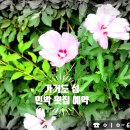 포칠민박 이미지