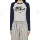 스테이 펫 살롱 이미지