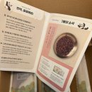 함소아한의원 | 두돌 아기 자동차사고, 노원함소아한의원 후기