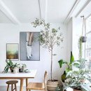 플랜테리어 이미지