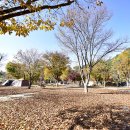 별빛오토캠핑장 이미지