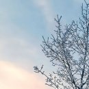 <흙 속의 숨결> 이미지