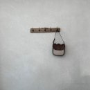 세이버리바이츠 티스토리