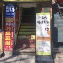 미싱 입문자에게 추천하는 미싱학원! 노라노패션학원 원데클래스 후기!(애견옷 스카프ver)