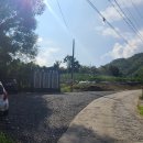 하룻밤 궁궐터 이미지