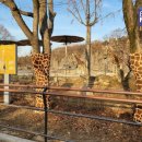 서울대공원 이미지