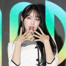 새봄이야 이미지