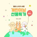 개린이세상 이미지