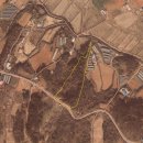 황금1번지 공인중개사사무소 이미지