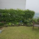 서초옥상 이미지
