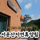 안성집 | 안성 서운산자연휴양림 숲속의 집 청룡사 숙소+바베큐 비오는 휴양림 후기~