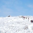트렉스타 권동철 대표가 들려주는 `안전한 겨울산행 위한 등산화 선택방법` 이미지