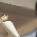 상남동254 | 창원 가로수길 카페 '페탈옹트라쎄'🌹 / 가로수길 추천 카페 / 창원 예쁜카페 추천 / 창원 크리스마스카페