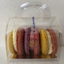 더마카롱 이미지