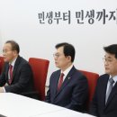 참신해 이미지