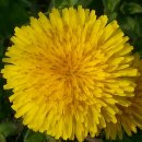 반석농장(2) 이미지