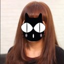 최신영헤어샵
