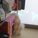 베베네 개스트하우스 이미지