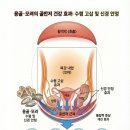 용골 화장실 네이버블로그