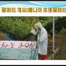 만흥농장 네이버블로그