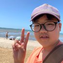 민들레장 이미지