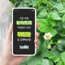 해랑팜