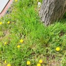 월드컵 아이파크 2차 아파트 이미지