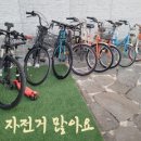 썸웨일즈펜션