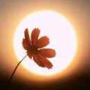 보름달작은도서관 이미지