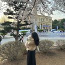 쏭s푸드