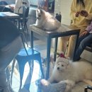 남포아지트 이미지