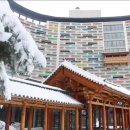 부여한우인공수정소 | 충남 롯데 리조트 부여 패밀리룸 후기부터 백제문화단지 근처 현지인 추천 맛집 완벽 정리