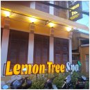 레몬트리 이미지