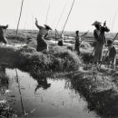 열린농장 이미지