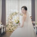 다믐 이미지
