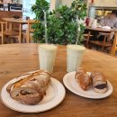 카페다르마 이미지