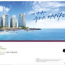 (학교)주문진초 네이버블로그